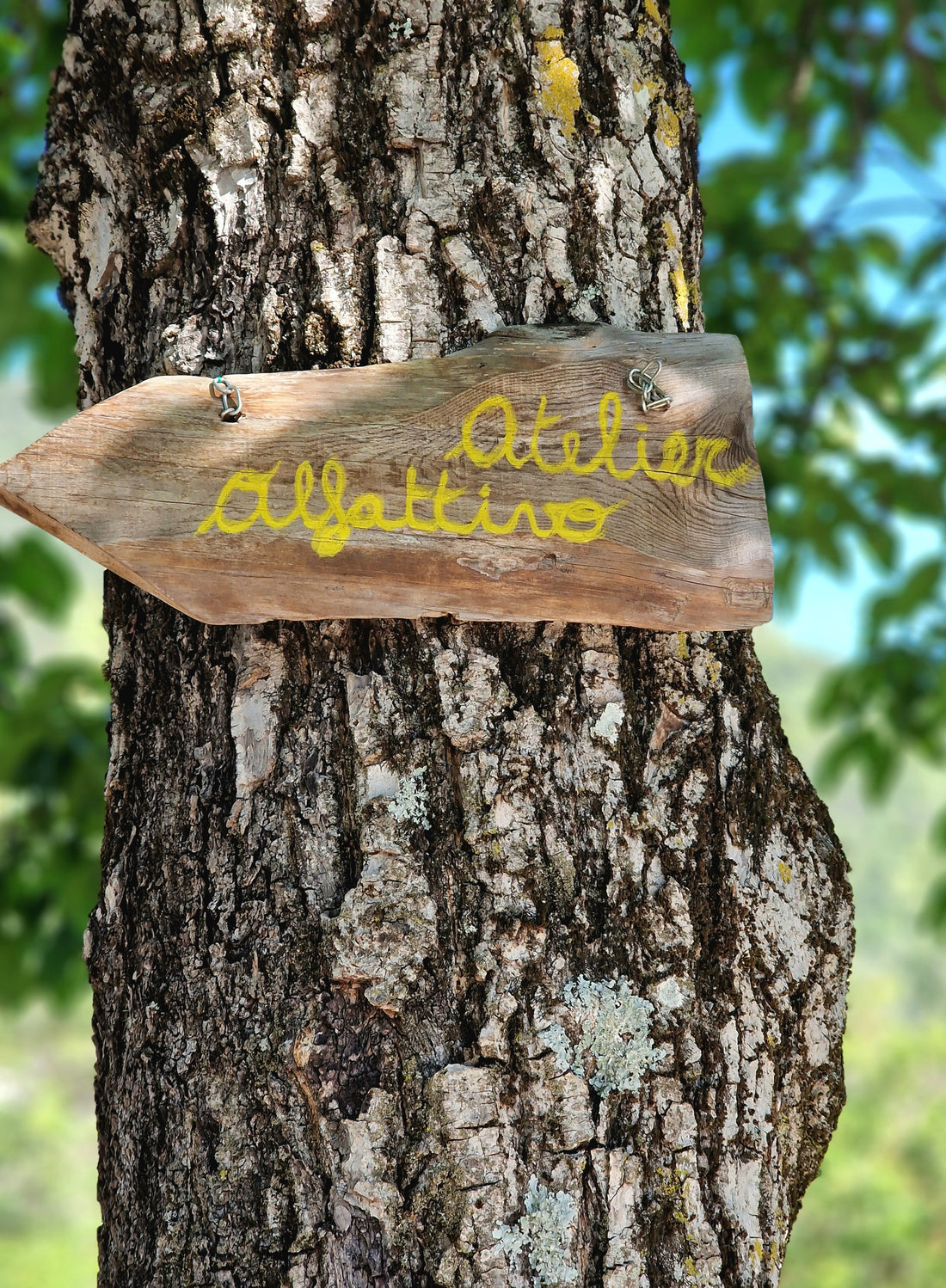 <strong>2020</strong>