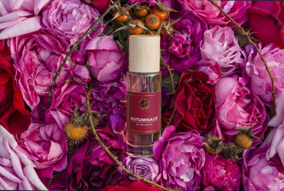 AUTUMNALIS MINI SIZE