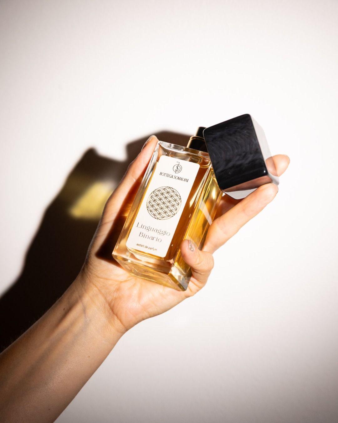 LINGUAGGIO BINARIO extrait de parfum bottega somalani 100 ml