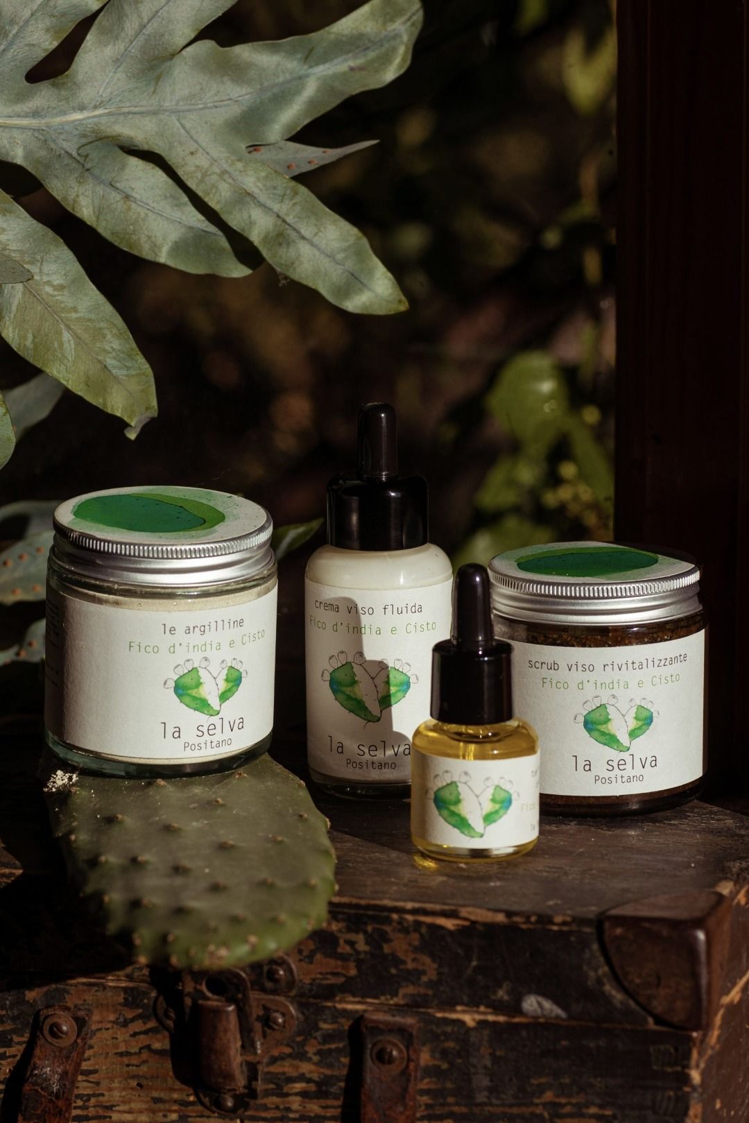 CONTORNO OCCHI FICO INDIA E CISTO